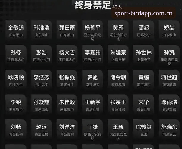 小鸟体育账号注册 中国足协第三批禁足名单深度评测:17人终身禁赛背后的行业震荡